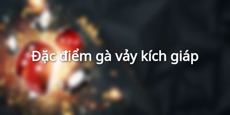 dac-diem-ga-vay-kich-giap