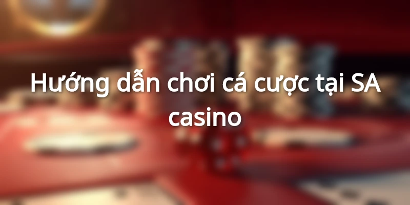 huong-dan-ca-cuoc-tai-sa-casino