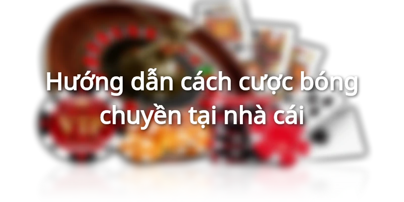 huong-dan-cach-cuoc-bong-chuyen