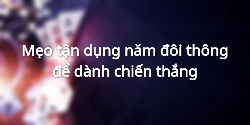 meo-dung-5-doi-thong